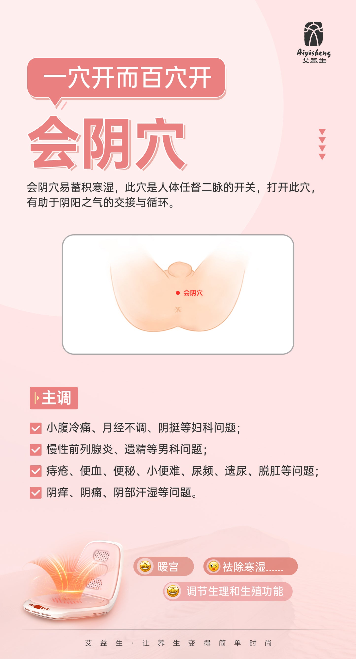 Multifunctional Warm Buttocks Appliance lnstructions 多功能温座仪