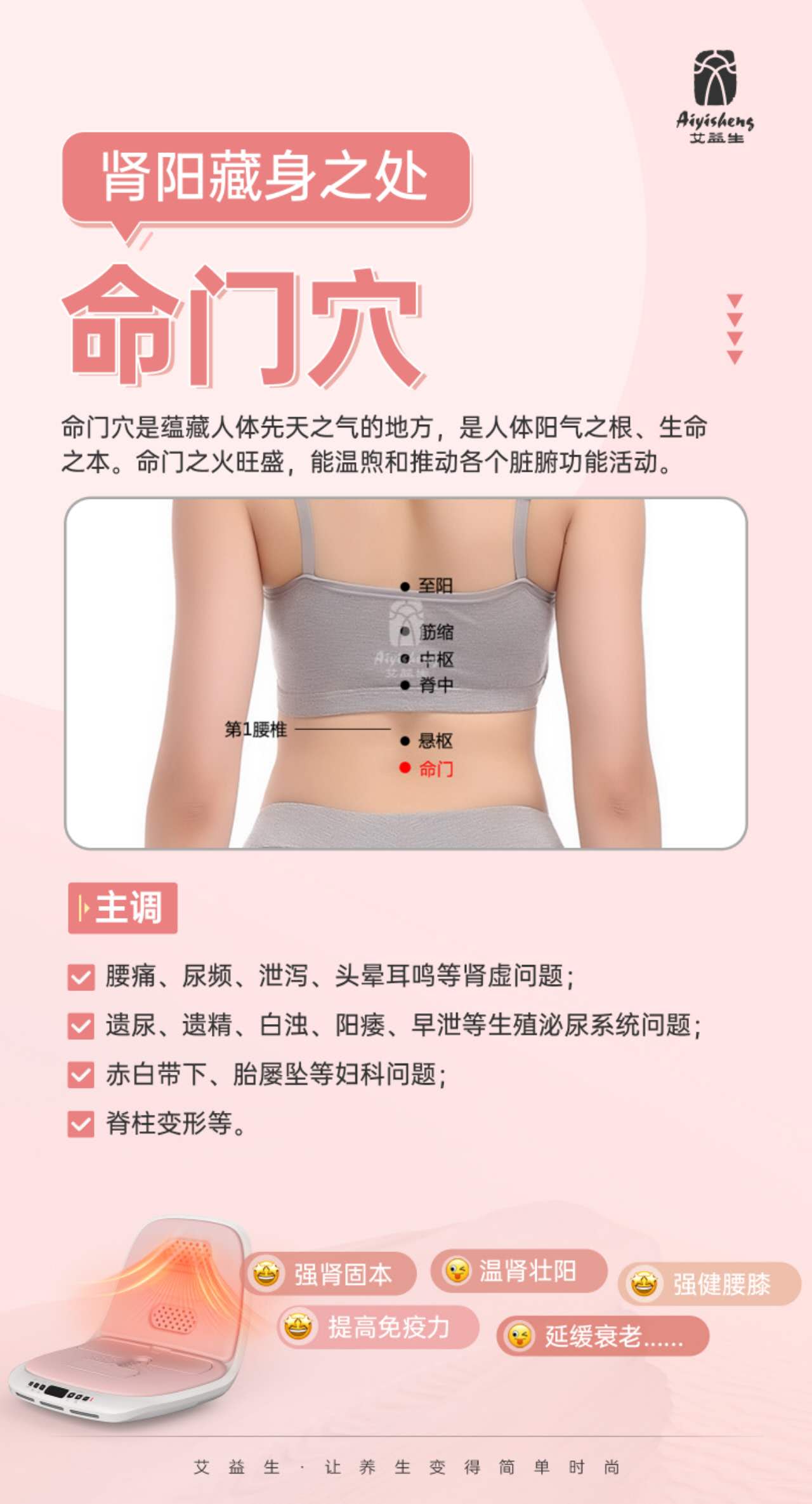 Multifunctional Warm Buttocks Appliance lnstructions 多功能温座仪