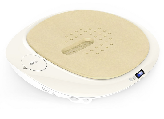 SITTING-MOXIBUSTION THERAPEUTIC APPARATUS温坐仪