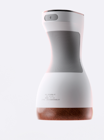 Stone Needle Massage Appliance-The Third Generation 砭石按摩器-3代