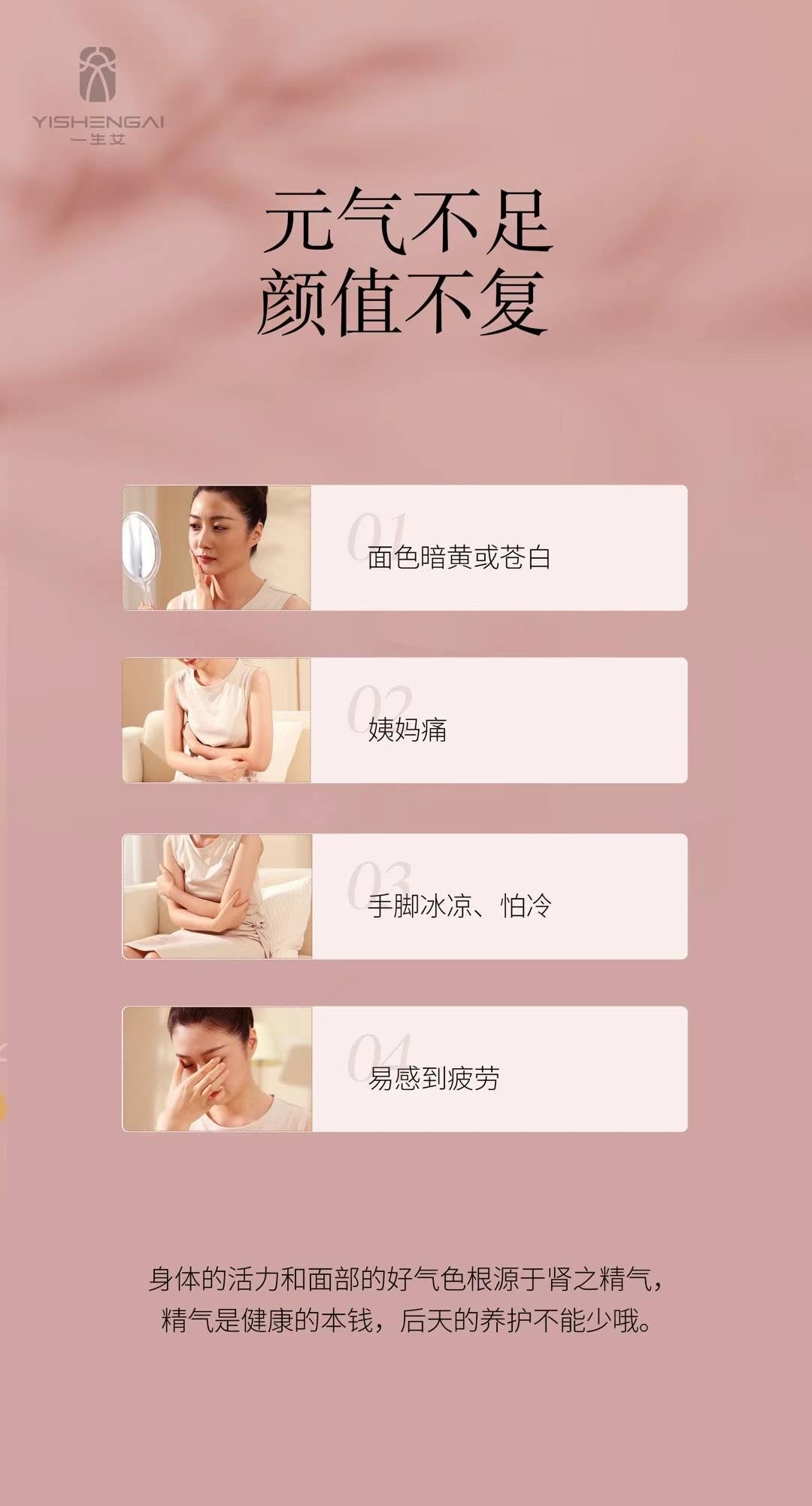 红参当归本草饮