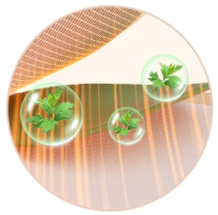 Mugwort Essential Oil Hot Compress Sticker 精油艾热贴